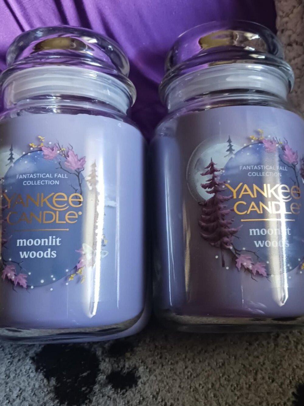 YANKEE CANDLE Moonlit Woods Large Jar Candles 22oz Fantastic Fall 2 Jars New